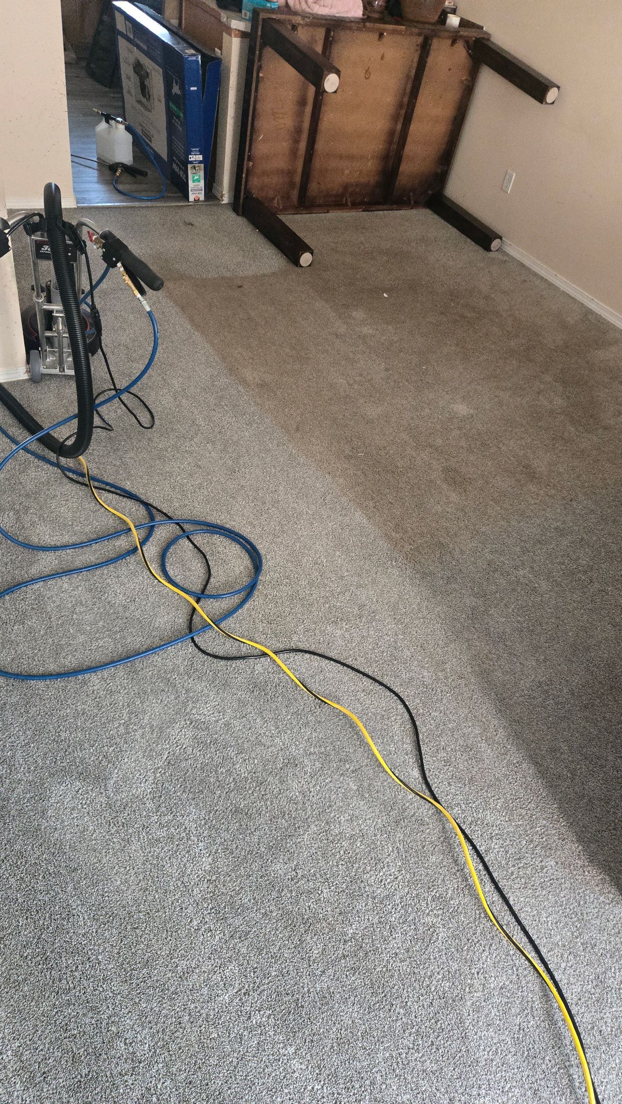 Carpet being cleaned with a machine; blue and yellow cords. Table is on its side.