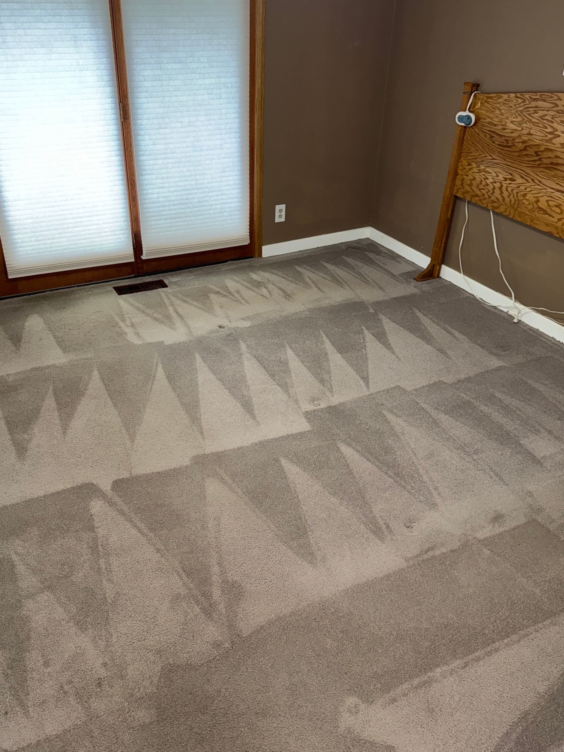 Carpeted room with brown walls and a window. The carpet has a clean pattern from a cleaning machine.