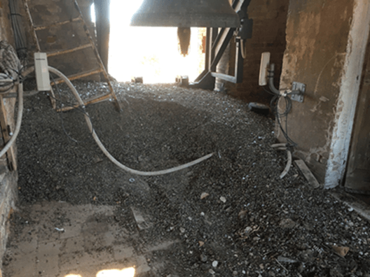 bonifica del guano del piccione