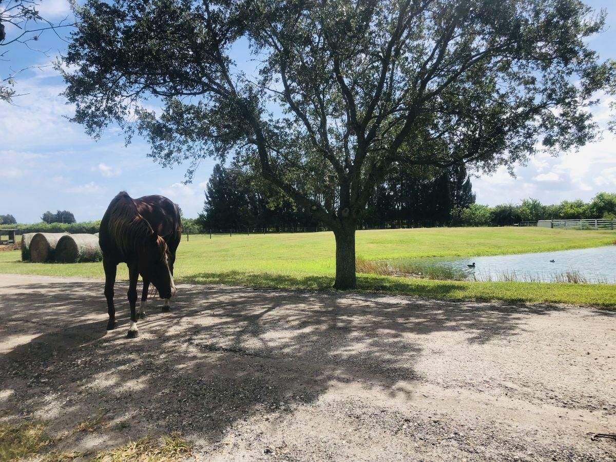 Loxahatchee