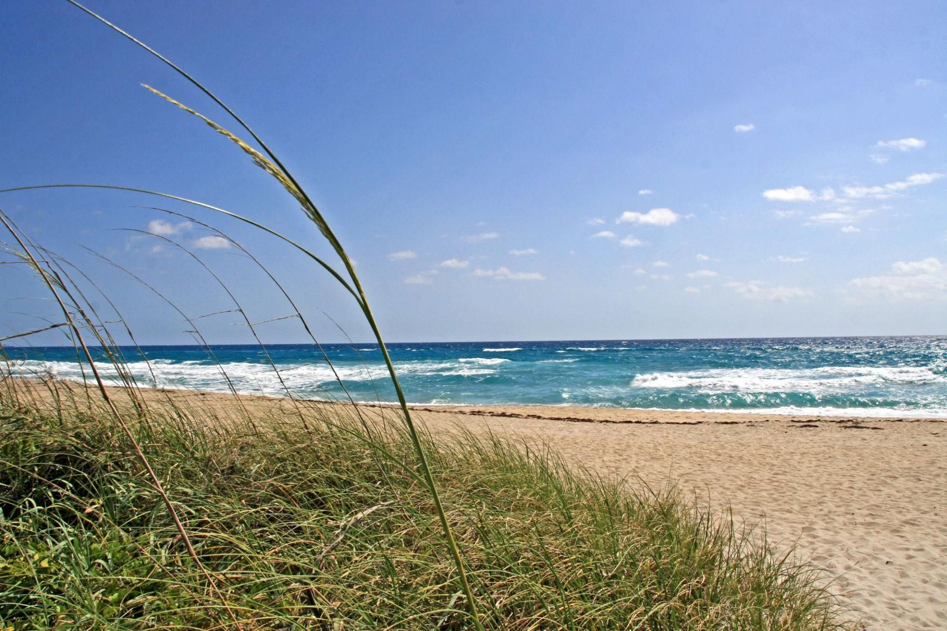 Ocean Ridge