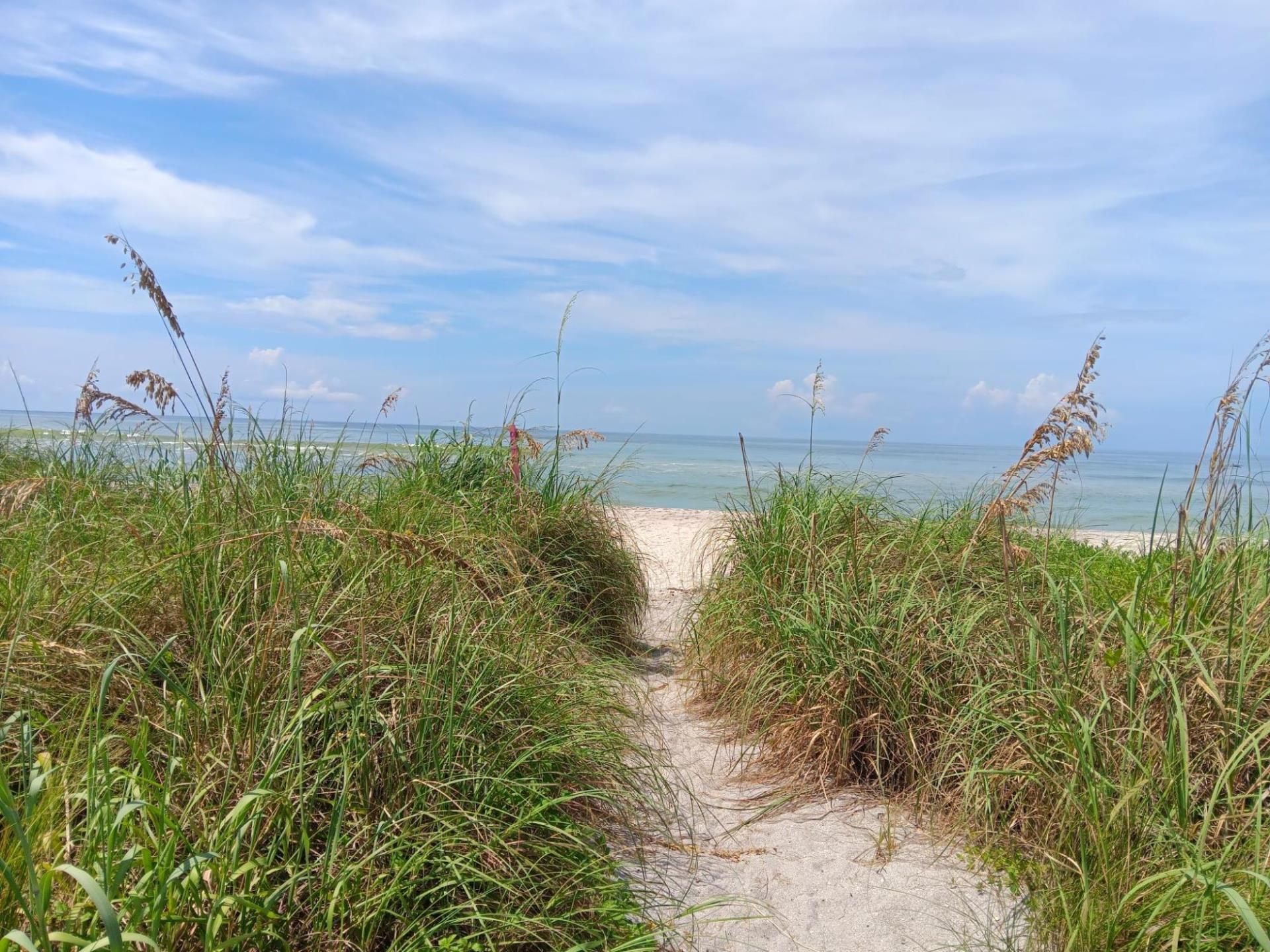 Singer Island