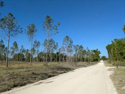 The Acreage