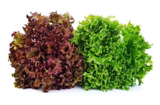 Lattuga Ribai e Kireve