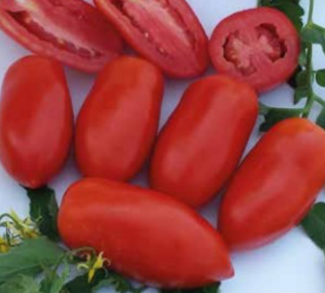 Pomdoro San Marzano