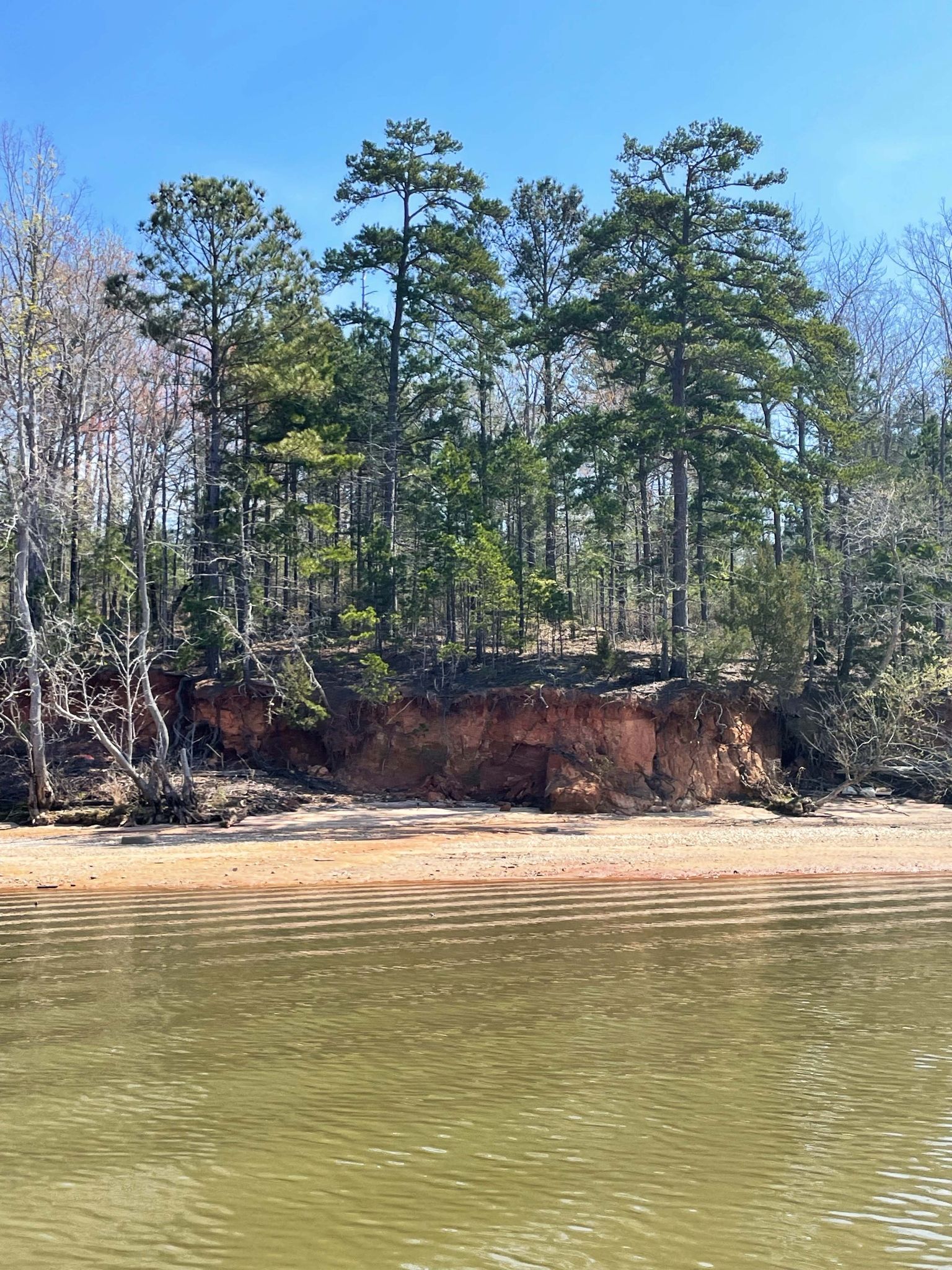 Shoreline Stabilization on Lake Wateree