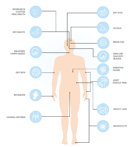 A diagram of the human body showing the different parts of the body.