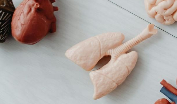 Aerial view of 2 men walking down footpath