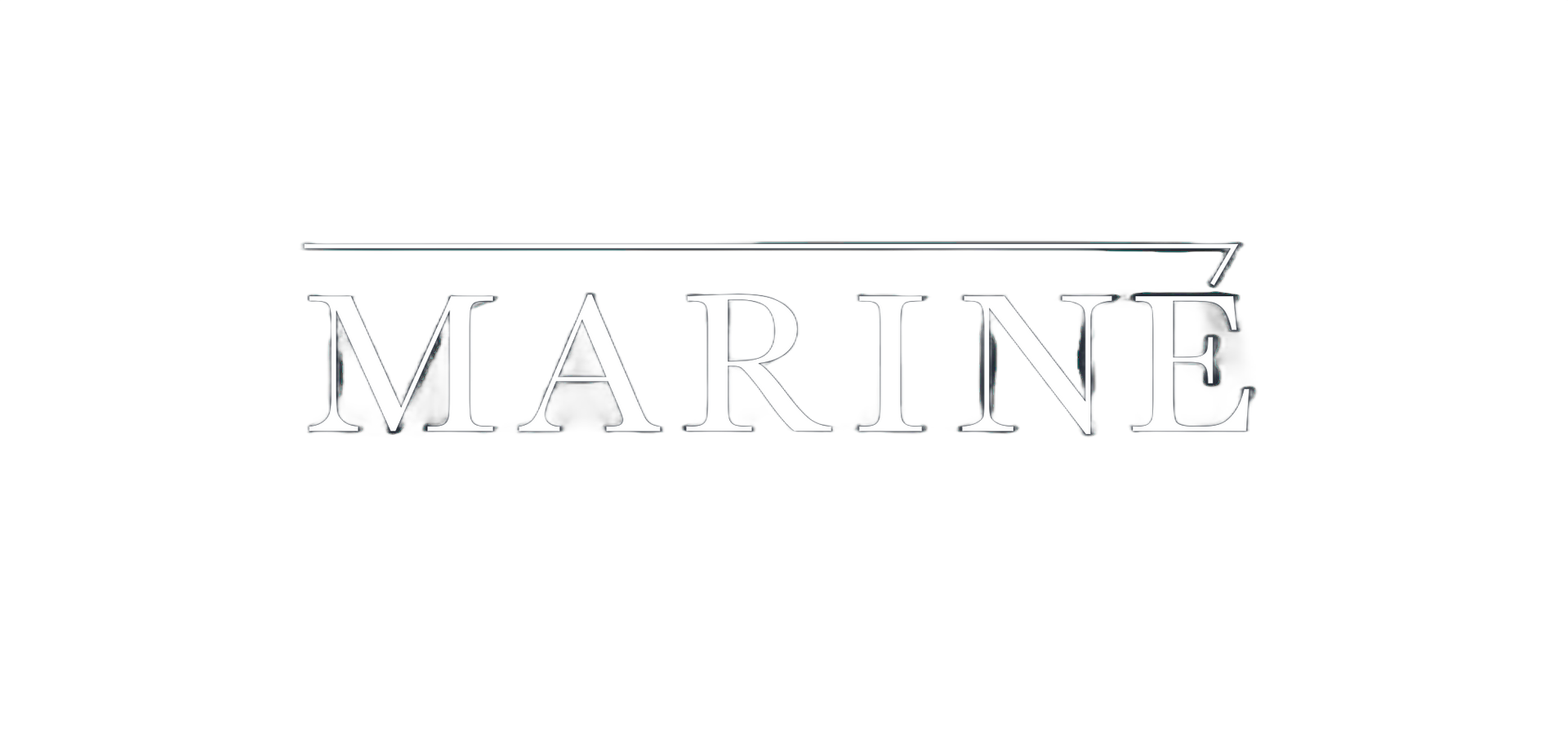 MARINE, logotipo denominativo en color blanco.