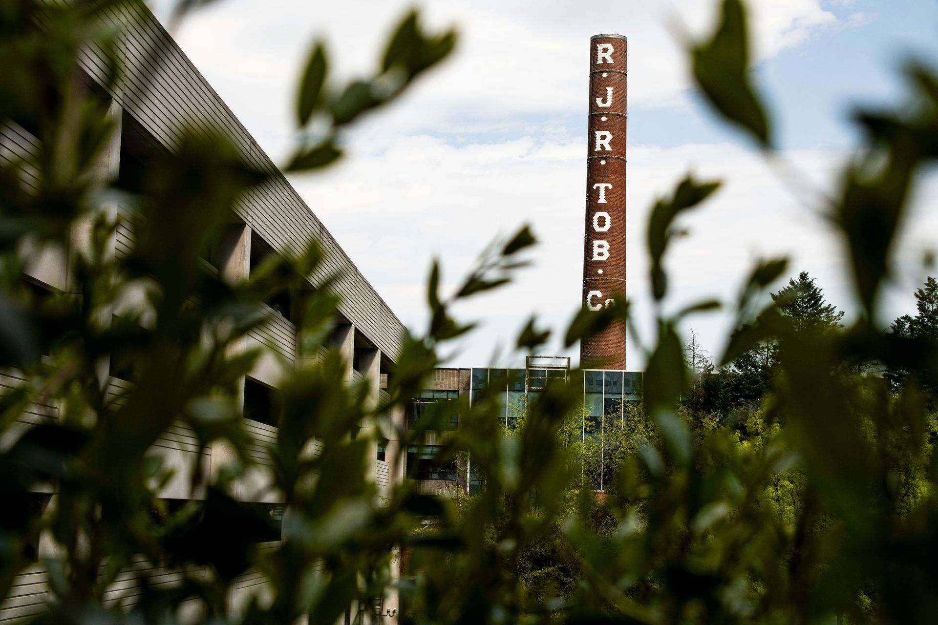 A brick chimney is visible through the leaves of a tree in front of a building.