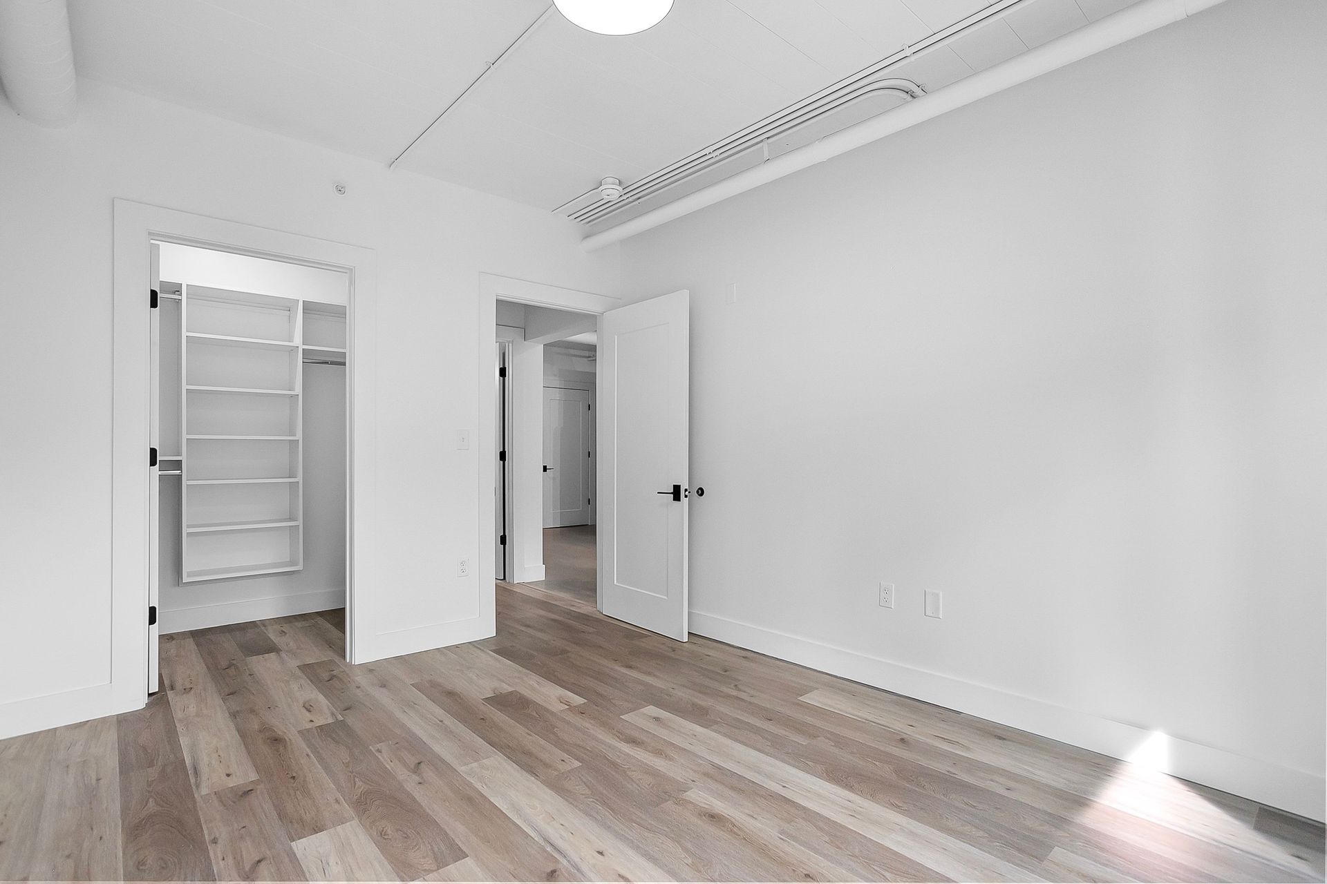Empty, bright room with hardwood floor, two doorways, and a closet. White walls and ceiling.