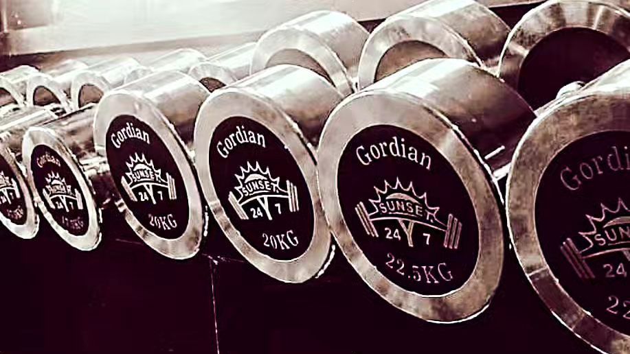 A row of dumbbells are lined up in a gym.