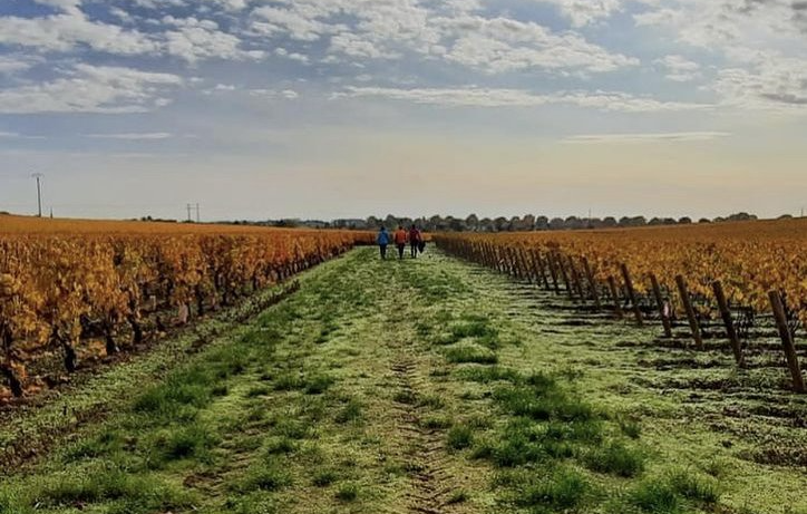 Beaune bourgogne Albert morot