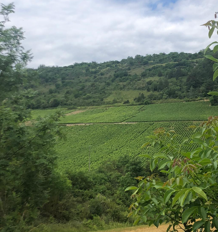 Hubert Lamy Les Frionnes