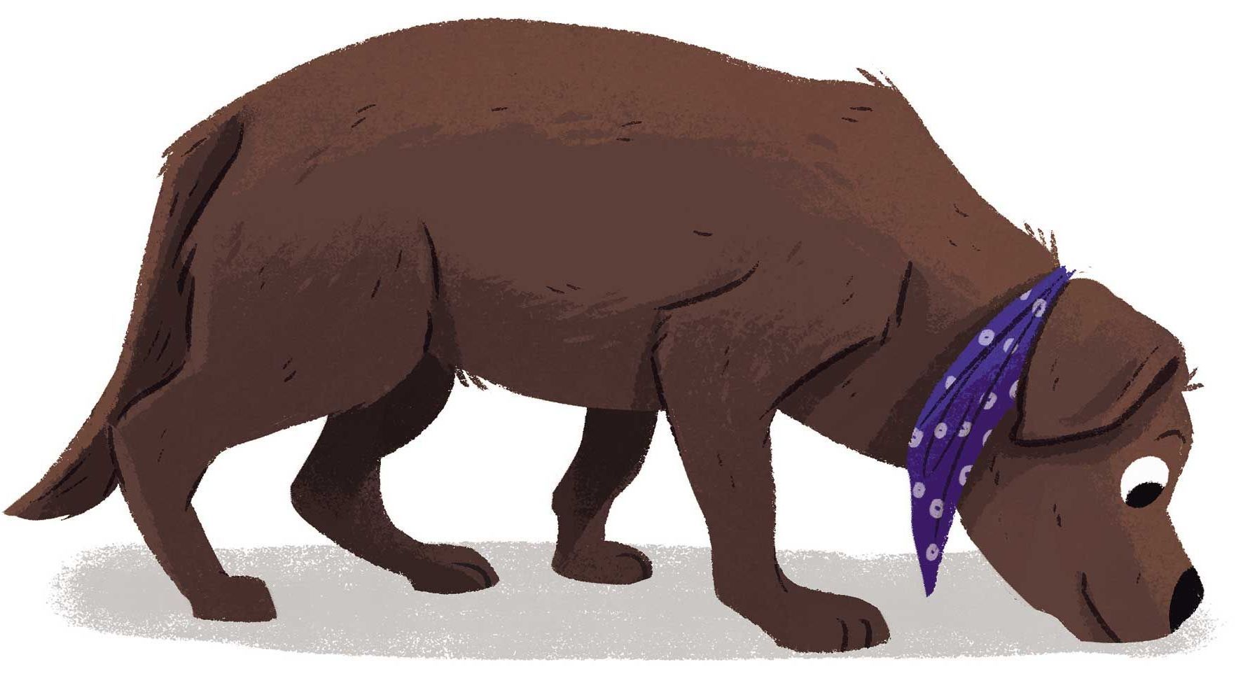 brown dog wearing bandana