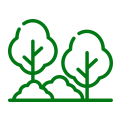 Icona alberi e piante verdi