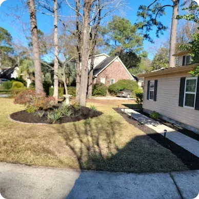 Lawn with mulch beds, trees, and house in background. Sunny day.