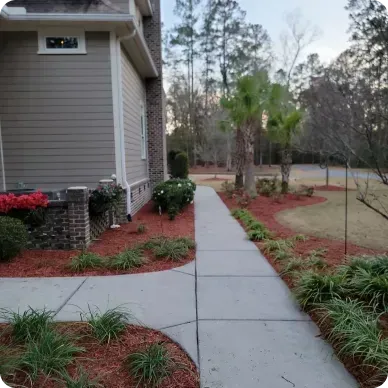 Sidewalk leads to house, bordered by plants and red mulch.