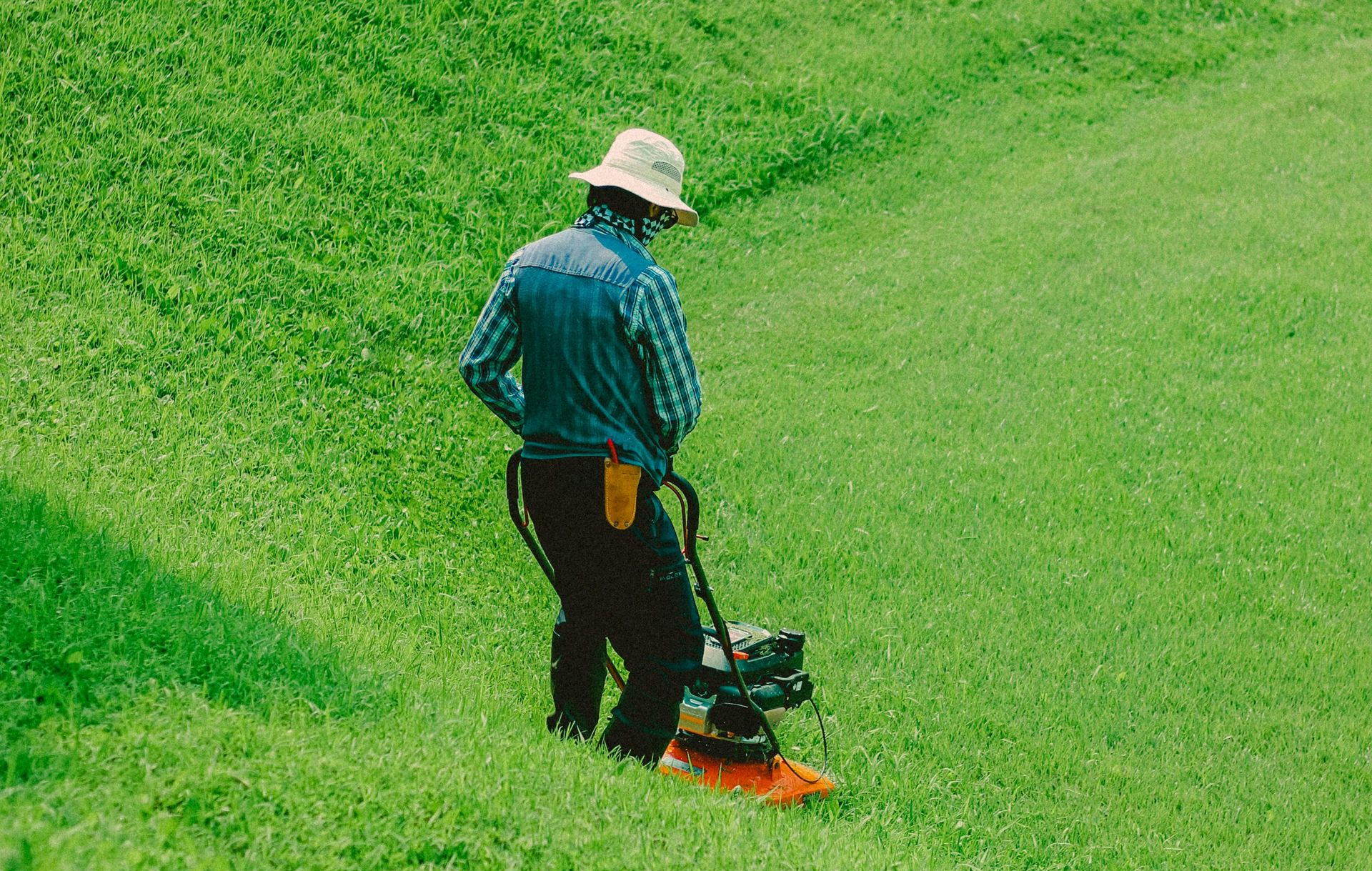 Person mowing a grassy hillside with a walk-behind lawnmower; sunny day.