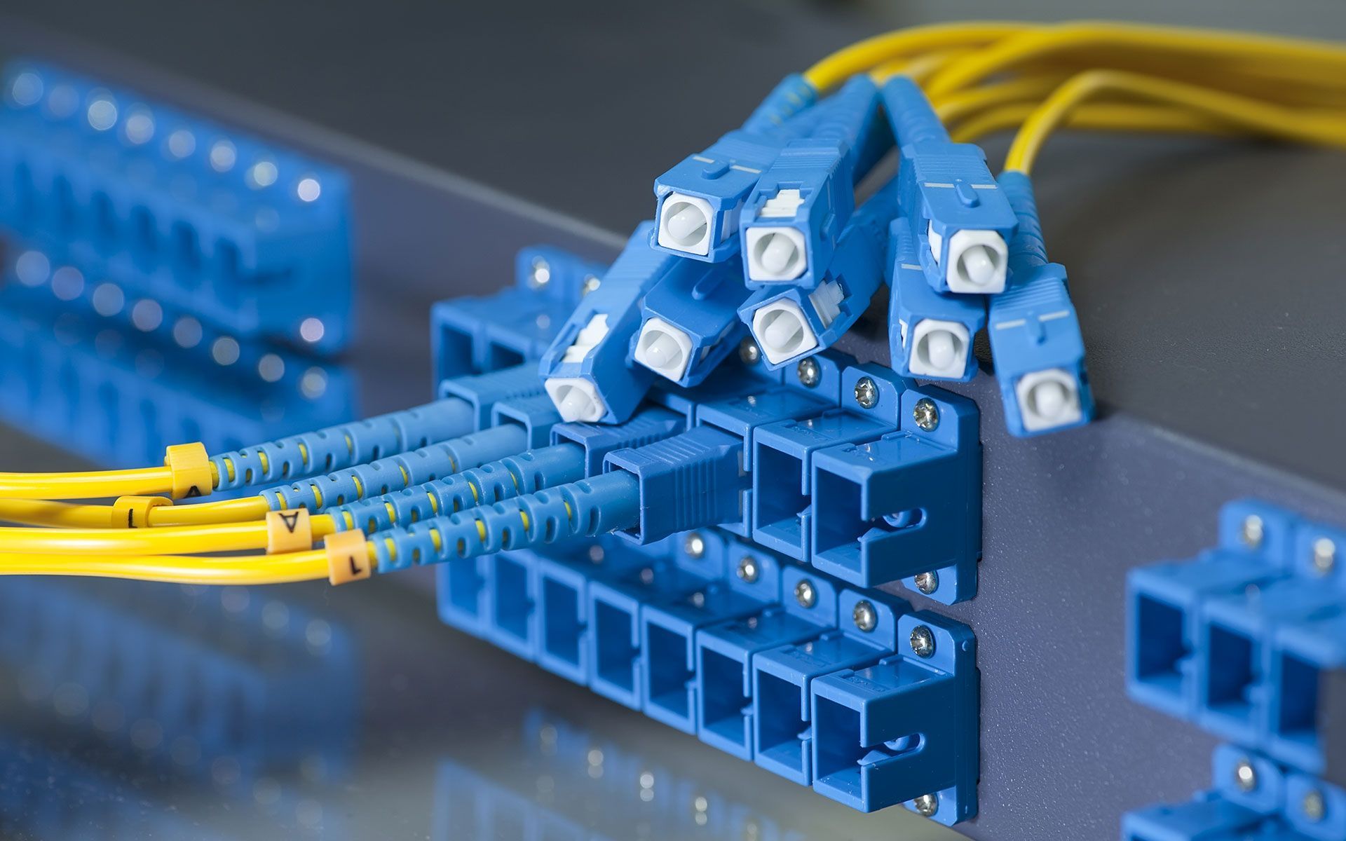 A bunch of blue and yellow wires are connected to each other.