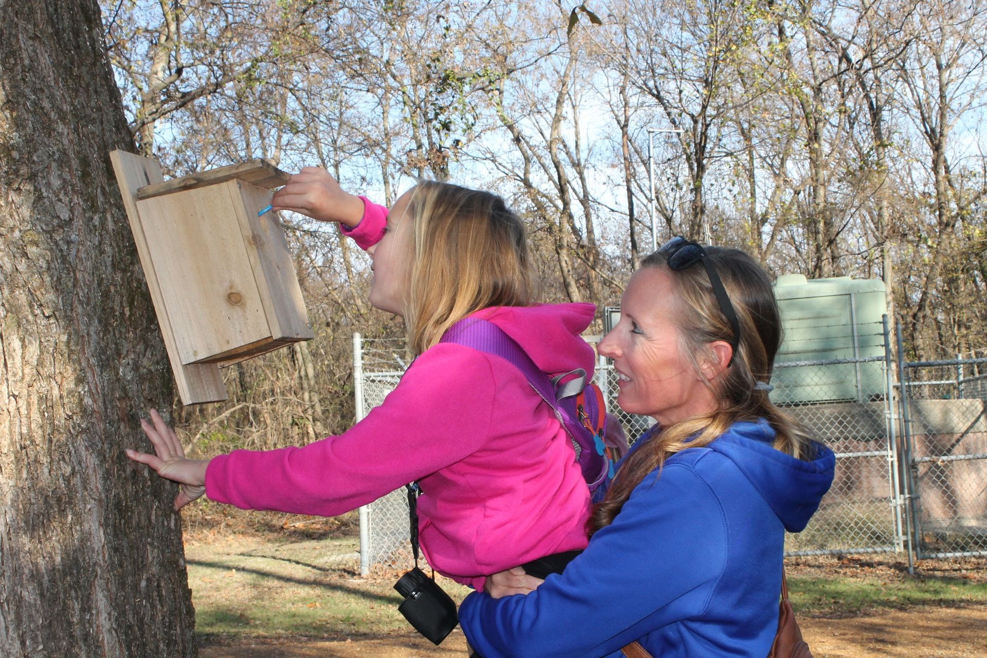 A woman and a child are putting a birdhouse into a tree.