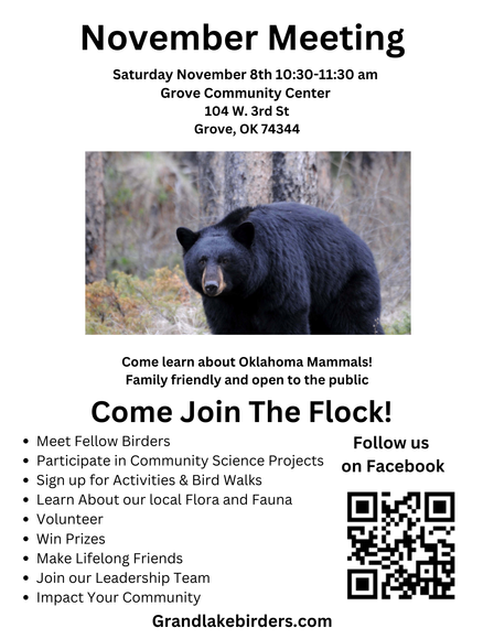Flyer for a November meeting about Oklahoma mammals. Features a bear photo, meeting details, and a QR code.