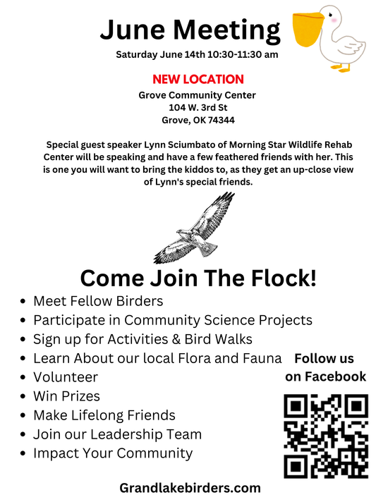 A flyer for a june meeting asking people to come join the flock.