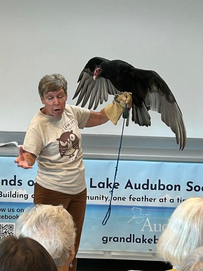 A woman is holding a black bird on a leash in front of a group of people.