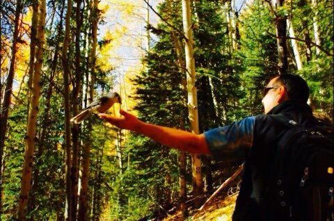 A man is holding a bird in his hand in the woods.
