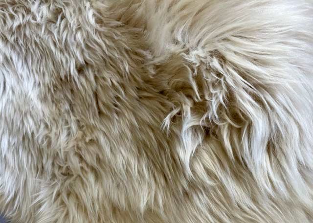 Sheepskin and Textiles