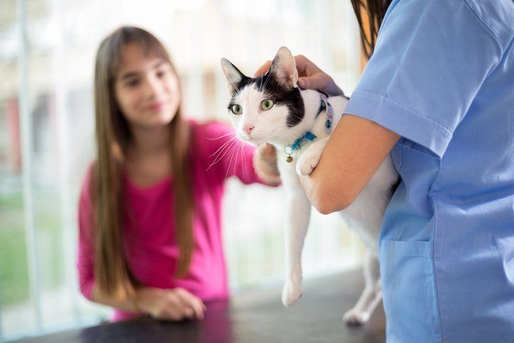 Pet vaccinations at our animal hospital San Angelo, TX