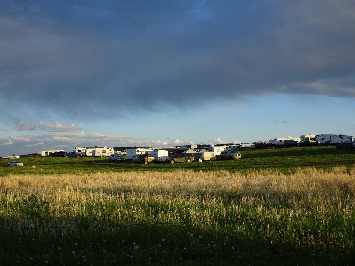 A field with houses in the background and a cloudy sky