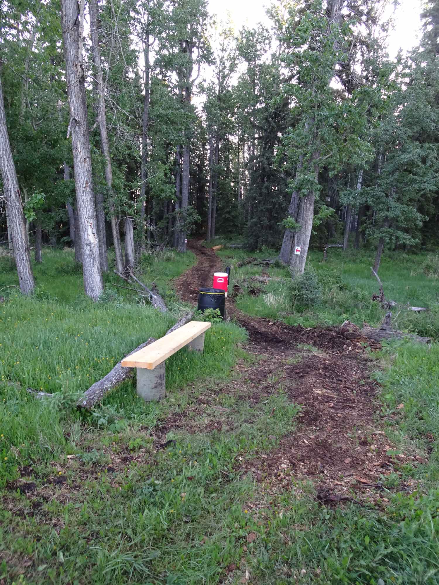 A wooden bench is sitting in the middle of a grassy field in the woods.