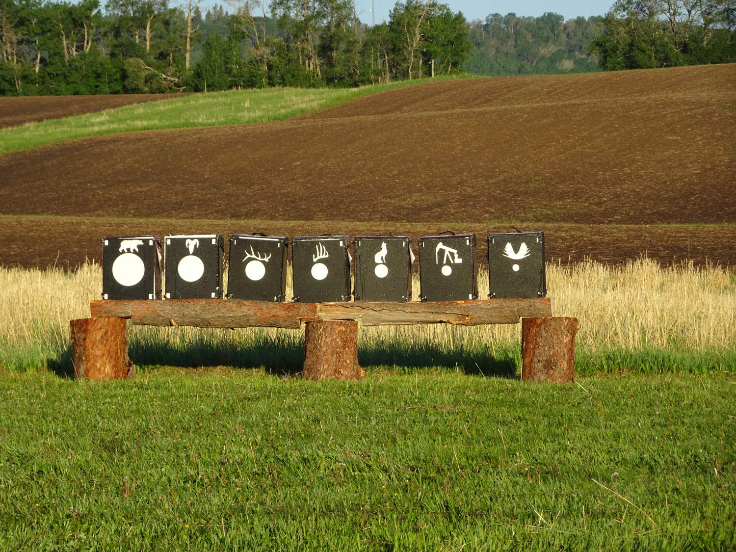 A wooden bench in a field with targets on it