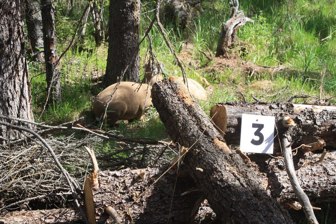 The number 3 is on a piece of paper in the woods