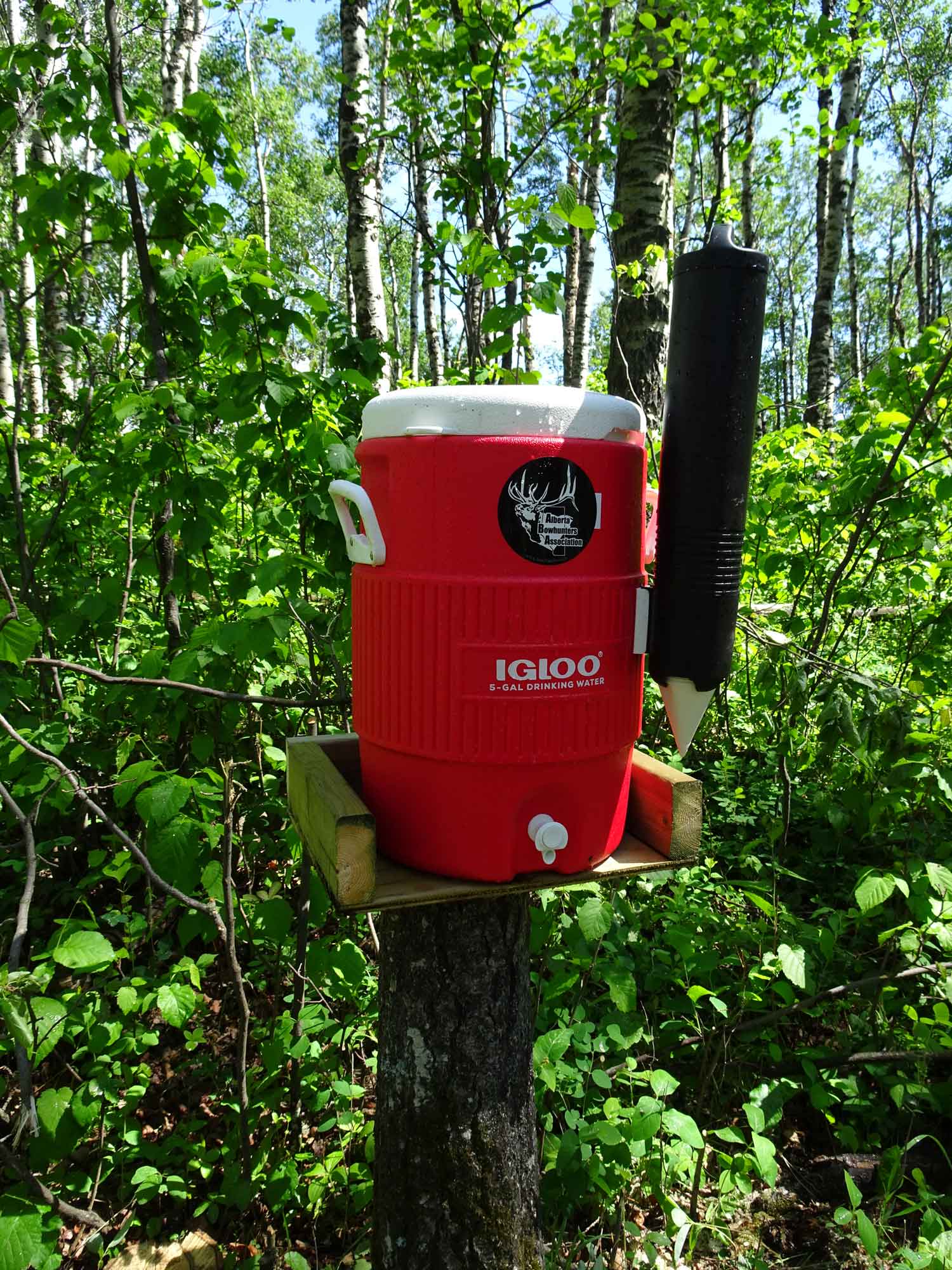 A red igloo cooler is sitting on a wooden post in the woods