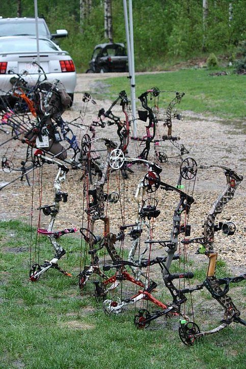 A bunch of bows and arrows are lined up in a field.