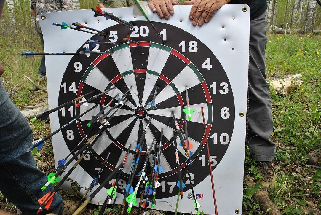 A person is holding a dart board with arrows on it