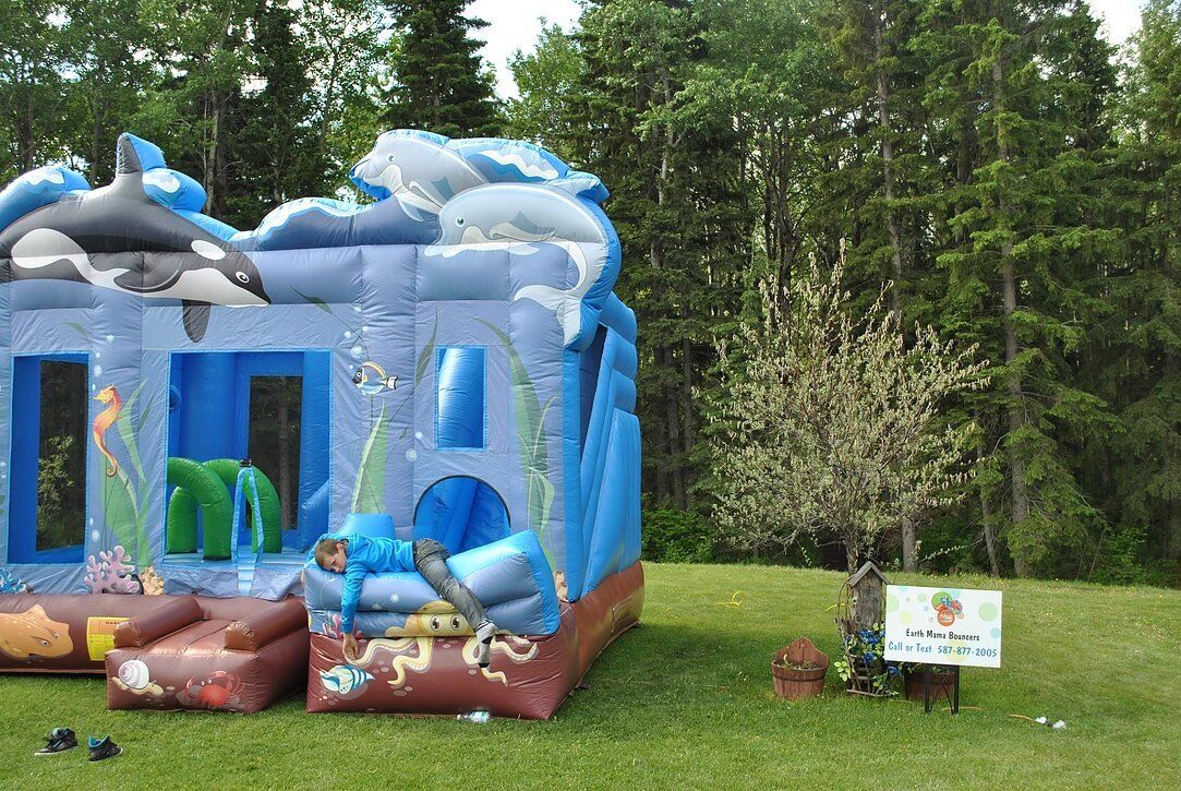 A bouncy house with dolphins on it is sitting on top of a lush green field.