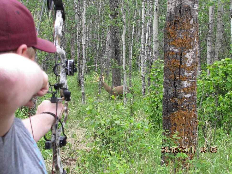 Archer shooting arrow at target