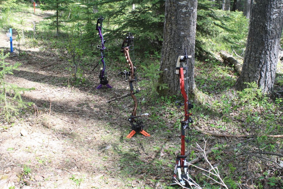 A bunch of bows and arrows are sitting in the woods.