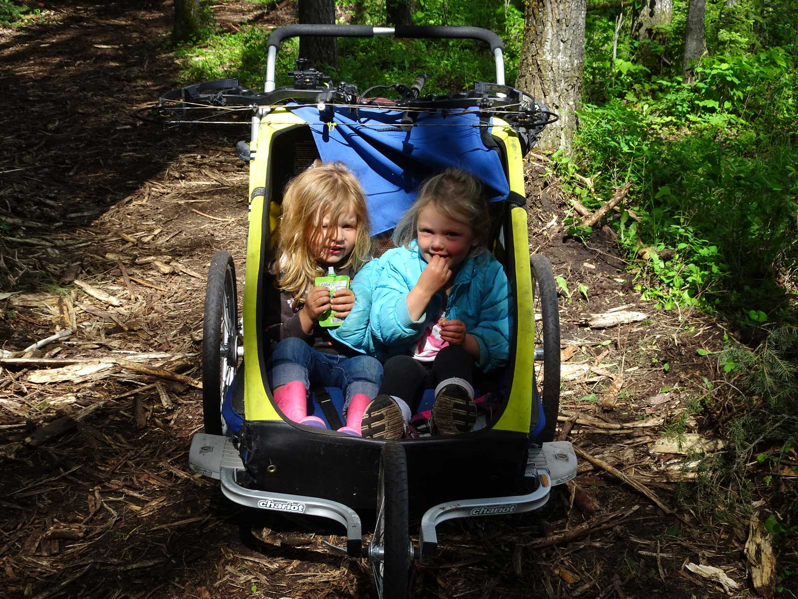 Two little girls are sitting in a stroller on a trail