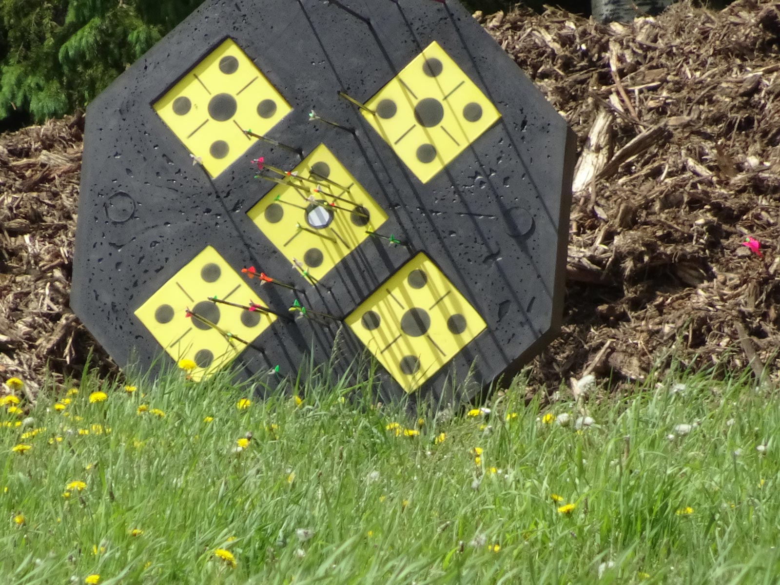 A black target with yellow squares on it is in the grass