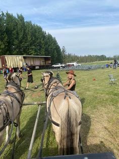 A woman is riding a horse drawn carriage in a field.