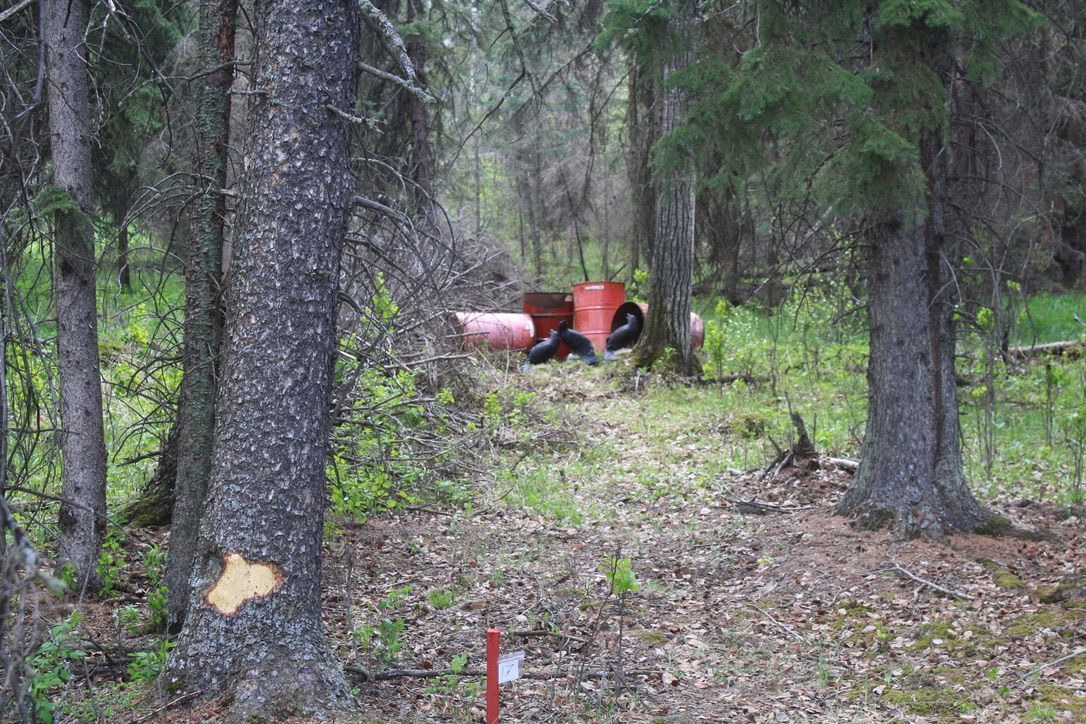 A red canoe is sitting in the middle of a forest.
