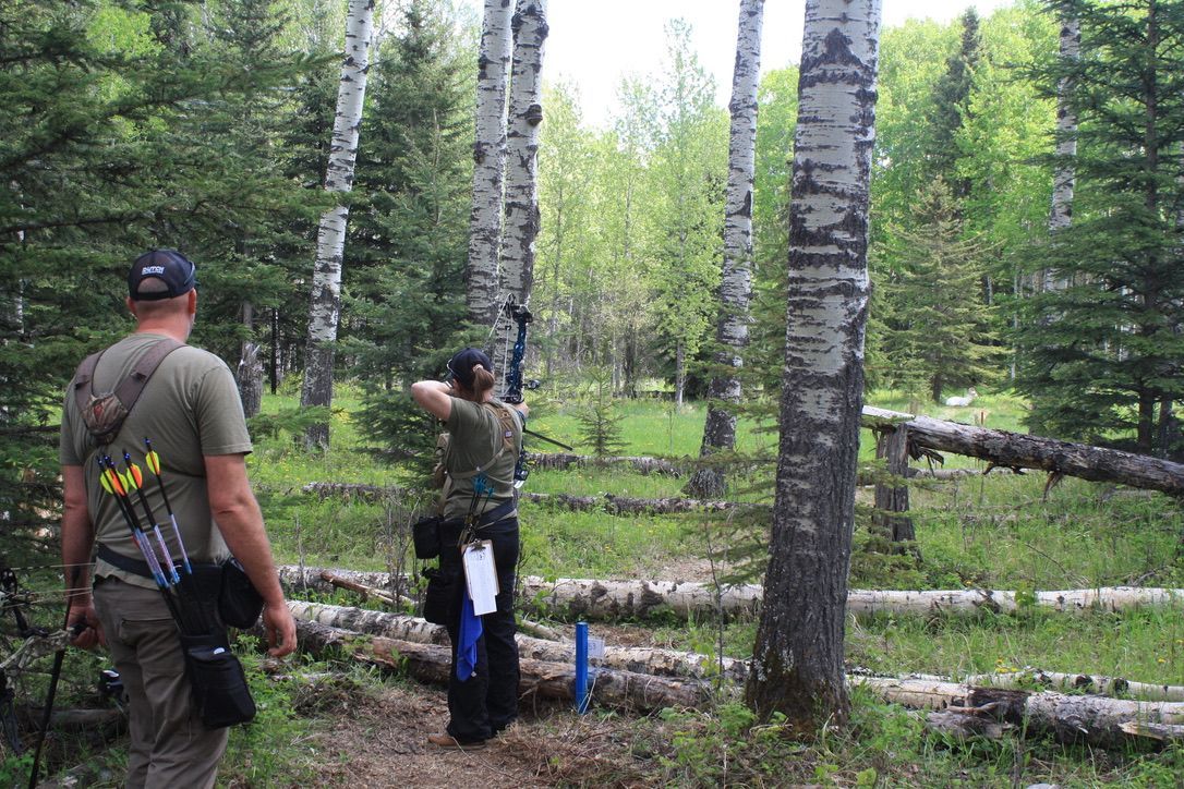 A man is standing in the middle of a forest holding a camera.