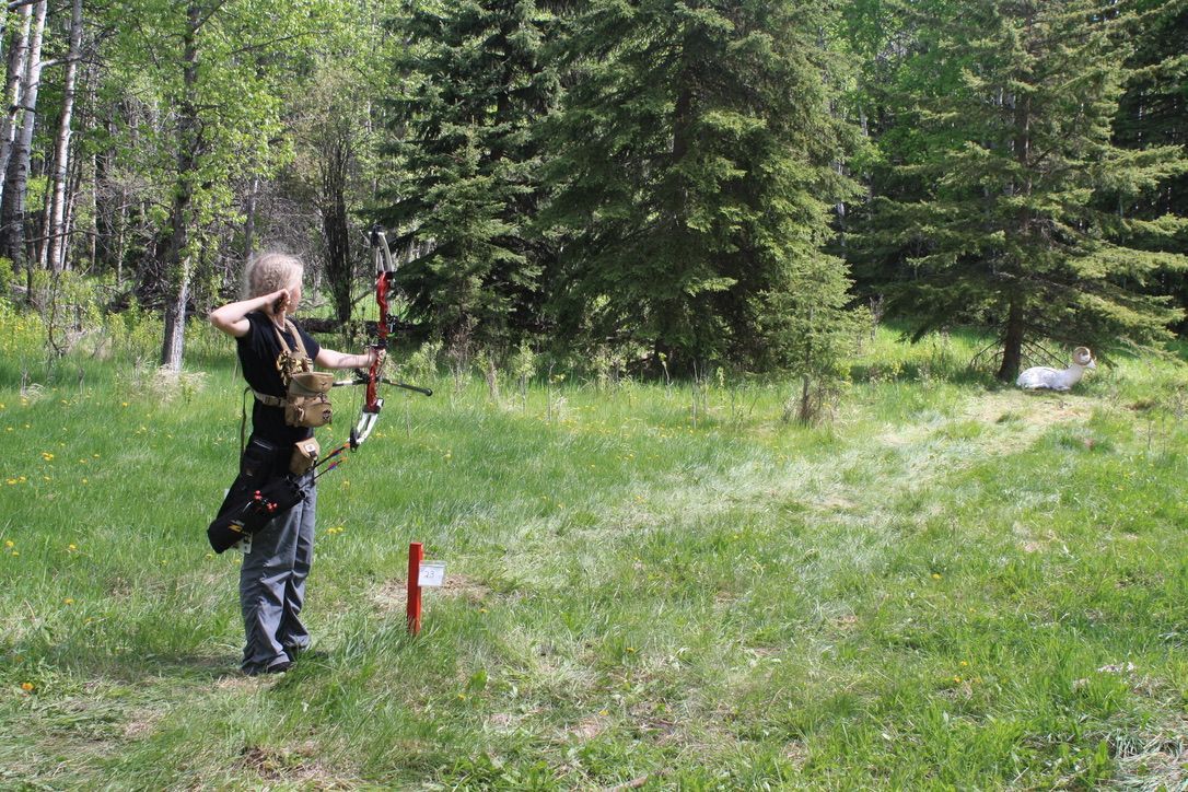 Archer shooting arrow at target