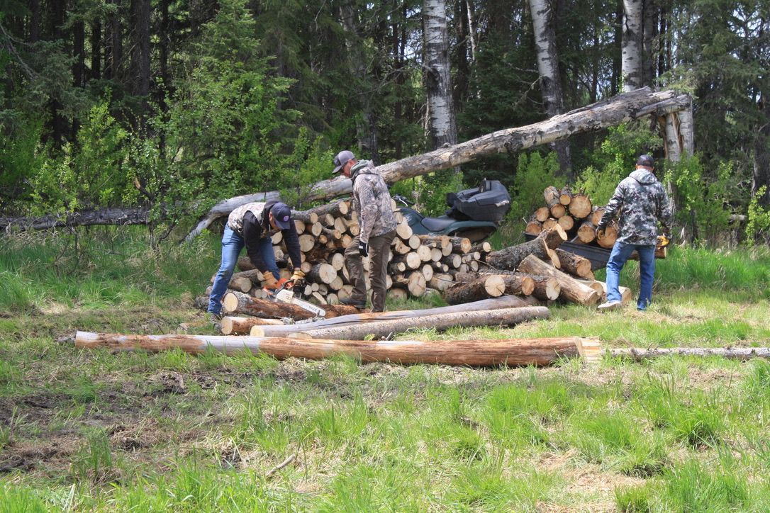 A group of people are working on a pile of logs in a field.
