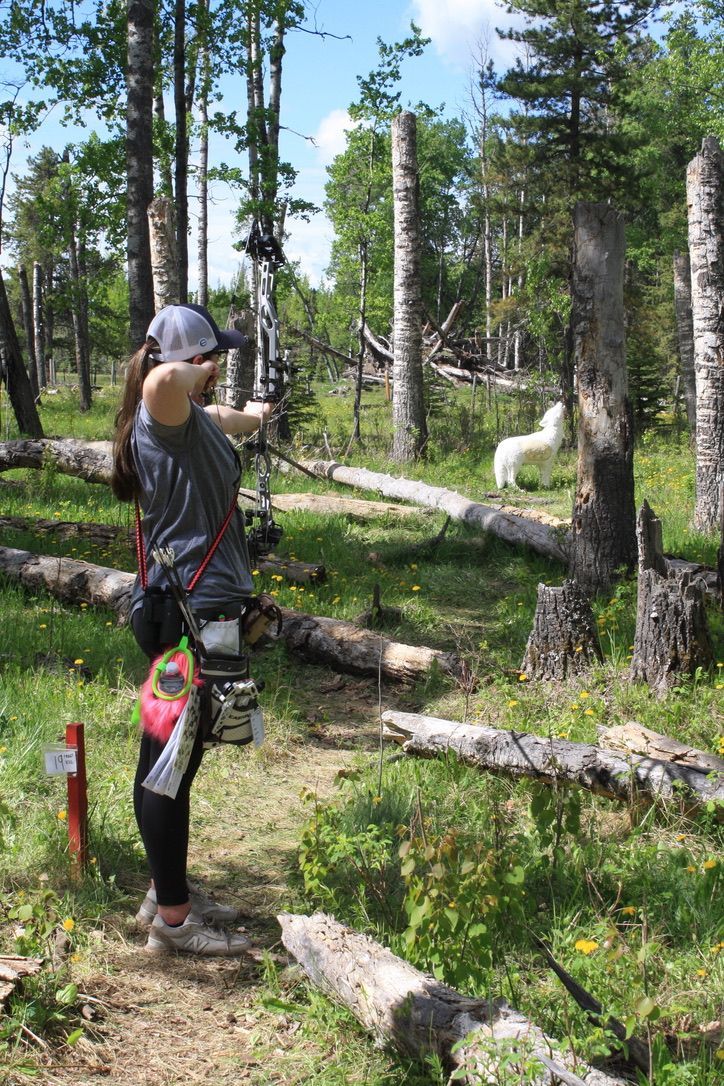 Archer shooting arrow at target