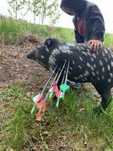 A boy is standing next to a pig with arrows in its back.